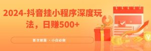 2024全网首次披露，抖音挂小程序深度玩法，日赚500+，简单、稳定，带渠道收入，小白必做【揭秘】-网赚资源网