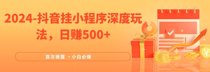 2024全网首次披露，抖音挂小程序深度玩法，日赚500+，简单、稳定，带渠道收入，小白必做【揭秘】 - 网赚资源网-网赚资源网