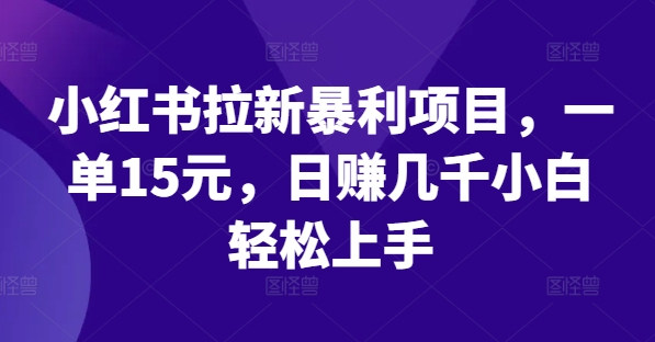 小红书拉新暴利项目，一单15元，日赚几千小白轻松上手【揭秘】 - 网赚资源网-网赚资源网
