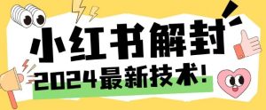 2024最新小红书账号封禁解封方法,无限释放手机号【揭秘】-网赚资源网