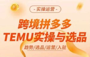 跨境拼多多TEMU实操与选品,多多temu跨境选品运营实操-网赚资源网