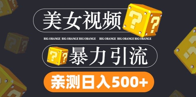 搬运tk美女视频全网分发，日引s粉300+，轻松变现，不限流量不封号【揭秘】 - 网赚资源网-网赚资源网