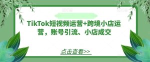 TikTok短视频运营+跨境小店运营，账号引流、小店成交-网赚资源网