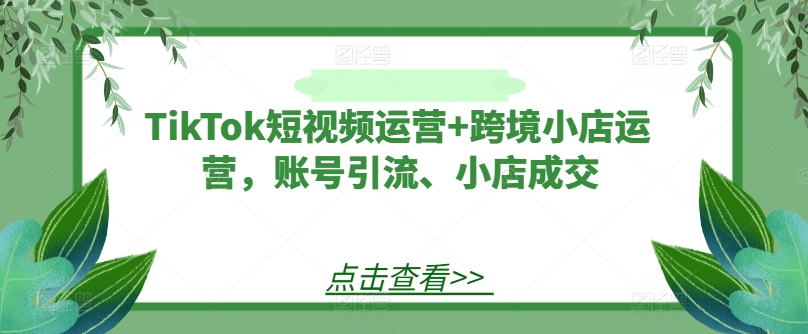 TikTok短视频运营+跨境小店运营，账号引流、小店成交 - 网赚资源网-网赚资源网