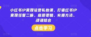 小红书IP变现运营私教课,打通红书IP变现任督二脉,底层逻辑、实操方法、战训结合-网赚资源网