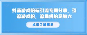 抖音游戏陪玩引流专题分享,引流游戏粉,流量供给足够大-网赚资源网