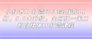 小红书IP打造60天实战营11期，5.0大升级，全网独一无二的自媒体IP打造课程-网赚资源网