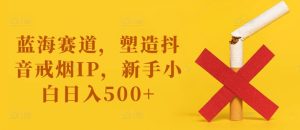 蓝海赛道,塑造抖音戒烟IP,新手小白日入500+【揭秘】-网赚资源网
