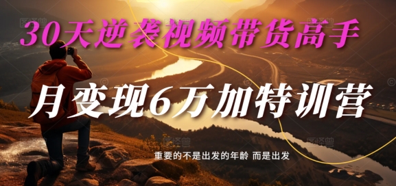 30天逆袭视频带货高手，单月变现6万加特训营-麦子甜 - 网赚资源网-网赚资源网