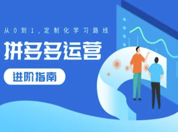 拼多多运营进阶指南，从0到1定制化学习路线 - 网赚资源网-网赚资源网