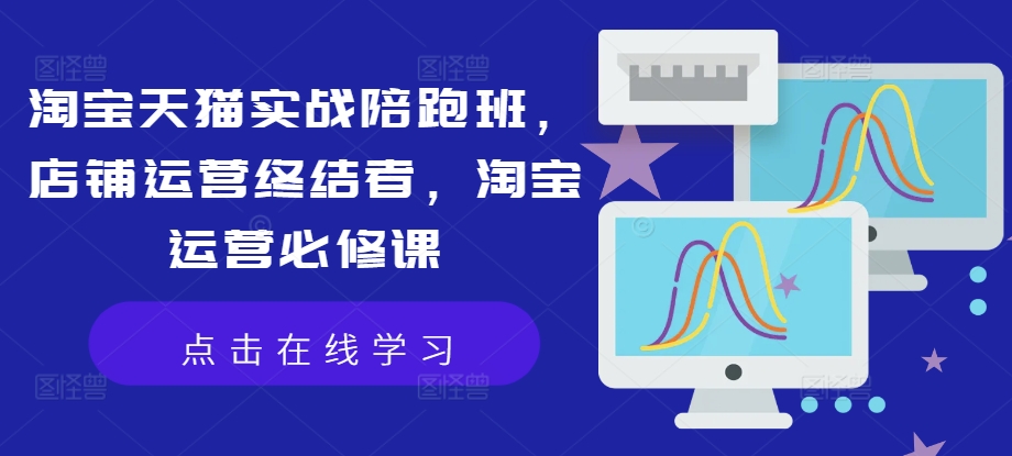 淘宝天猫实战陪跑班，店铺运营终结者，淘宝运营必修课 - 网赚资源网-网赚资源网