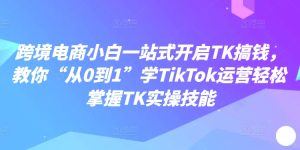 跨境电商小白一站式开启TK搞钱，教你“从0到1”学TikTok运营轻松掌握TK实操技能-网赚资源网