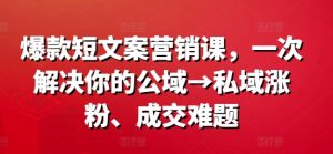 爆款短文案营销课，一次解决你的公域→私域涨粉、成交难题-网赚资源网