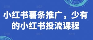 小红书薯条推广,少有的小红书投流课程-网赚资源网