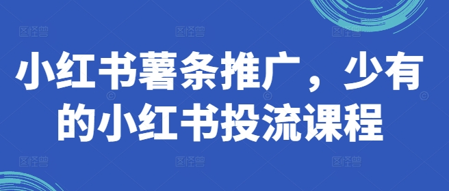 小红书薯条推广，少有的小红书投流课程 - 网赚资源网-网赚资源网