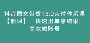 抖音图文带货13.0交付体系课【新课】，快速出单拿结果，高效做账号-网赚资源网