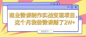 商业微课制作实战变现项目,这个月我做微课赚了2W+-网赚资源网