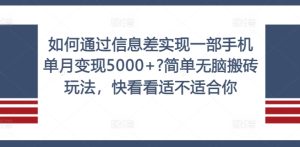 如何通过信息差实现一部手机单月变现5000+?简单无脑搬砖玩法，快看看适不适合你【揭秘】-网赚资源网