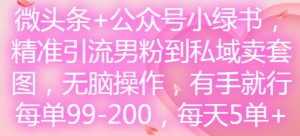 微头条+公众号小绿书,精准引流男粉到私域卖套图,无脑操作,有手就行,每单99-200,每天5单-网赚资源网