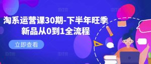 淘系运营课30期-下半年旺季新品从0到1全流程-网赚资源网