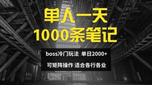 单人一天1000条笔记，日入2000+，BOSS直聘的正确玩法【揭秘】-网赚资源网