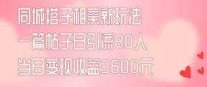 同城搭子相亲新玩法一篇帖子引流80人当日变现3600元(项目教程+实操教程)【揭秘】-网赚资源网