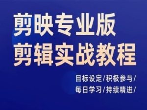剪映专业版剪辑实战教程，目标设定/积极参与/每日学习/持续精进-网赚资源网