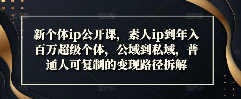 新个体ip公开课，素人ip到年入百万超级个体，公域到私域，普通人可复制的变现路径拆解 - 网赚资源网-网赚资源网