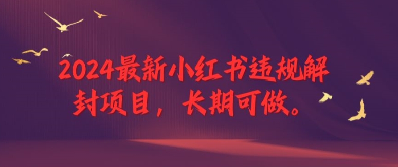 2024最新小红书违规解封项目，长期可做，一个可以做到退休的项目【揭秘】-网赚资源网