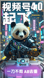 梅花实验窒微信视频号连怼玩法技巧起飞4.0一键AB破解版【揭秘】-网赚资源网