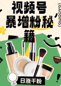 视频号涨粉方法,暴力起号,一天涨粉1000+,当天开橱窗【揭秘】-网赚资源网