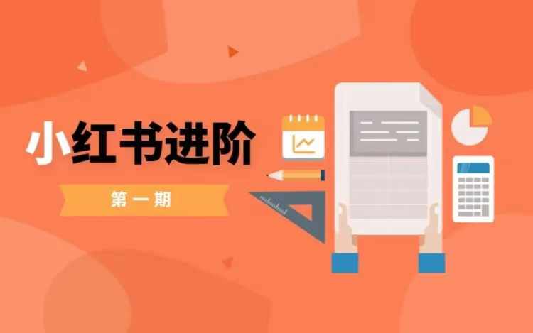 小红书进阶篇，零基础小白实战课，普通人变现的课程 - 网赚资源网-网赚资源网
