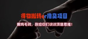 得物搬砖撸货项目?掰下数据,我给你们说说顶层思维【揭秘】-网赚资源网