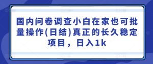 国内问卷调查小白在家也可批量操作(日结)真正的长久稳定项目,日入1k【揭秘】-网赚资源网
