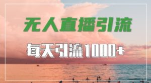 抖音快手视频号全平台通用,无人直播引流法,超暴力引流1000+高质量精准创业粉【揭秘】-网赚资源网