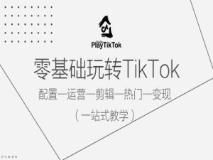 零基础玩转TikTok，配置一运营一剪辑一热门一变现，一站式教学-网赚资源网