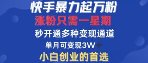 快手暴力起万粉，涨粉只需一星期，多种变现模式，直接秒开万合，单月变现过W【揭秘】-网赚资源网