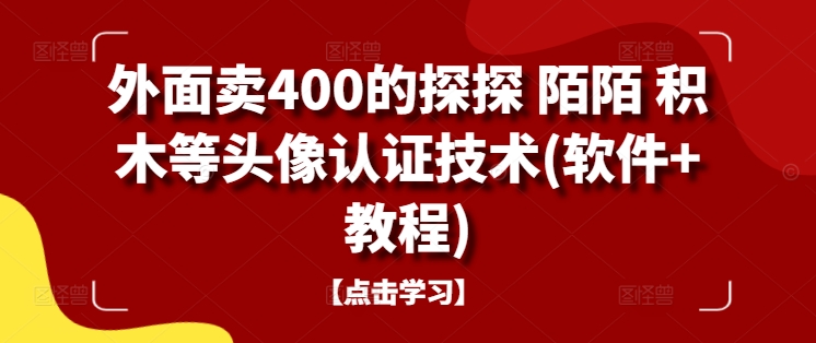 外面卖400的探探 陌陌 积木等头像认证技术(软件+教程) - 网赚资源网-网赚资源网