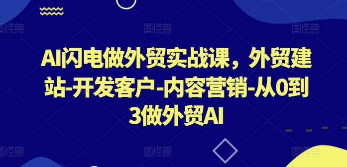 AI闪电做外贸实战课，​外贸建站-开发客户-内容营销-从0到3做外贸AI（更新） - 网赚资源网-网赚资源网