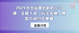 2024多多运营必听的12节课,全程干货,玩法实操,爆款方案尽在掌握-网赚资源网