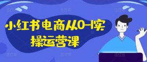 小红书电商从0-1实操运营课,小红书手机实操小红书/IP和私域课/小红书电商电脑实操板块等-网赚资源网