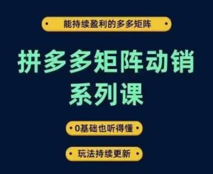 拼多多矩阵动销系列课,能持续盈利的多多矩阵,0基础也听得懂,玩法持续更新-网赚资源网