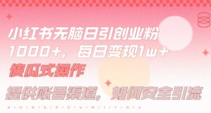 小红书无脑每日引流创业粉500+,小白每天只花半小时,躺赚长尾收益【揭秘】-网赚资源网