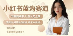 小红书蓝海赛道，圈中高端职场人，月入无上限，可矩阵，内含私域实操教程! - 网赚资源网-网赚资源网