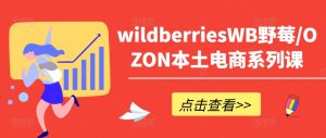 wildberriesWB野莓/OZON本土电商系列课，掌握WB产品优化，出单技巧和订单处理等-网赚资源网
