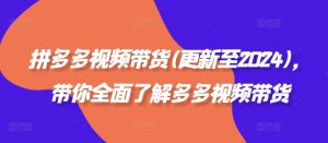 拼多多视频带货(更新至2024),带你全面了解多多视频带货-网赚资源网