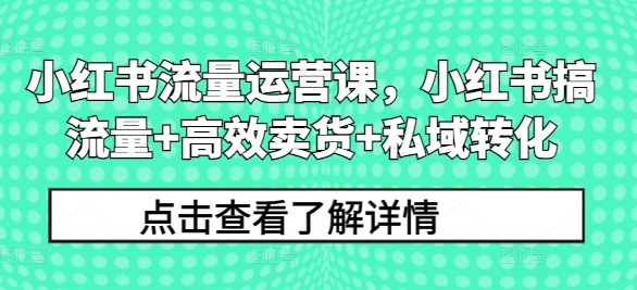 小红书流量运营课，小红书搞流量+高效卖货+私域转化 - 网赚资源网-网赚资源网
