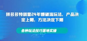 拼多多特训营24年爆破流玩法，产品决定上限，方法决定下限，各种玩法技巧落地实操-网赚资源网
