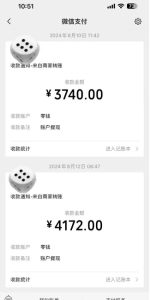 手机搬砖项目，可以矩阵化操作，新手一个月轻松5000多-网赚资源网