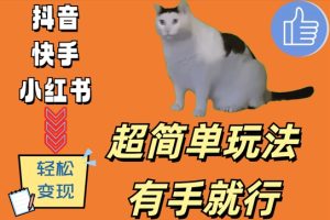 超简单玩法，有手就行，靠猫咪视频日入500+【揭秘】-网赚资源网